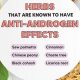 Natural Anti Androgen Herbal: Benefits & Uses | The Ultimate Herbal Remedies Guide: Natural Healing for a Healthier Life