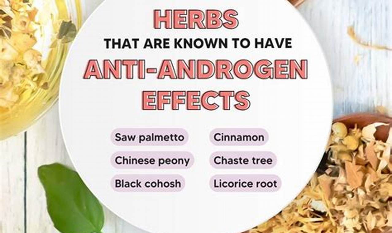 Natural Anti Androgen Herbal: Benefits & Uses The Ultimate Herbal Remedies Guide: Natural Healing for a Healthier Life Natural Anti Androgen Herbal: Benefits & Uses | The Ultimate Herbal Remedies Guide: Natural Healing for a Healthier Life