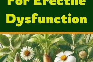 The Natural Path: Best Herbal ED Treatment? + Tips The Ultimate Herbal Remedies Guide: Natural Healing for a Healthier Life The Natural Path: Best Herbal ED Treatment? + Tips | The Ultimate Herbal Remedies Guide: Natural Healing for a Healthier Life