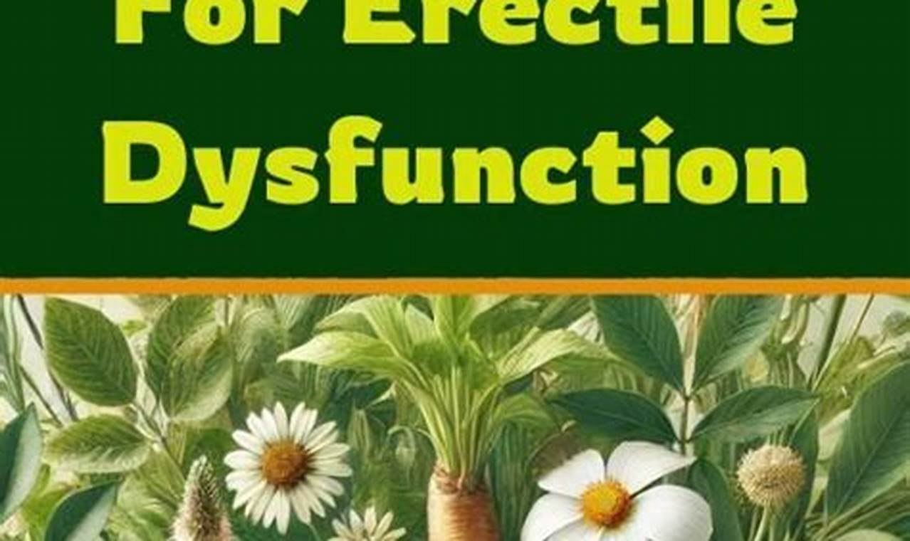 The Natural Path: Best Herbal ED Treatment? + Tips The Ultimate Herbal Remedies Guide: Natural Healing for a Healthier Life The Natural Path: Best Herbal ED Treatment? + Tips | The Ultimate Herbal Remedies Guide: Natural Healing for a Healthier Life