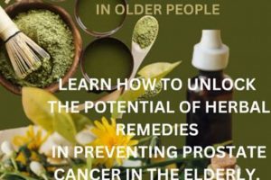 Natural Herbal Remedies for Prostate Cancer Support | The Ultimate Herbal Remedies Guide: Natural Healing for a Healthier Life