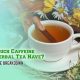 Caffeine in Herbal Tea? Know Before You Sip! | The Ultimate Herbal Remedies Guide: Natural Healing for a Healthier Life