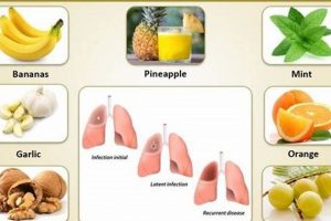 Natural Tuberculosis Herbal Treatment: Relief &amp; Support | The Ultimate Herbal Remedies Guide: Natural Healing for a Healthier Life