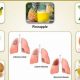 Natural Tuberculosis Herbal Treatment: Relief &amp; Support | The Ultimate Herbal Remedies Guide: Natural Healing for a Healthier Life