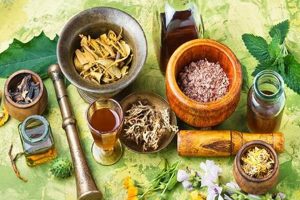 Boost Wellness: Herbal Extracts Benefits & Uses Guide | The Ultimate Herbal Remedies Guide: Natural Healing for a Healthier Life