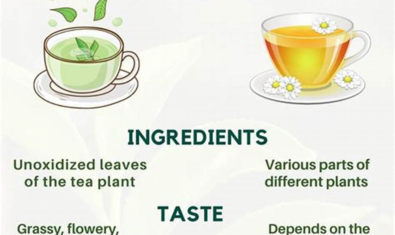 Tea Time: Is Green Tea Herbal Tea? (Explained!) The Ultimate Herbal Remedies Guide: Natural Healing for a Healthier Life Tea Time: Is Green Tea Herbal Tea? (Explained!) | The Ultimate Herbal Remedies Guide: Natural Healing for a Healthier Life