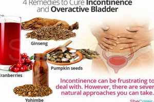 Natural Herbal Incontinence Remedy: Relief + Support The Ultimate Herbal Remedies Guide: Natural Healing for a Healthier Life Natural Herbal Incontinence Remedy: Relief + Support | The Ultimate Herbal Remedies Guide: Natural Healing for a Healthier Life