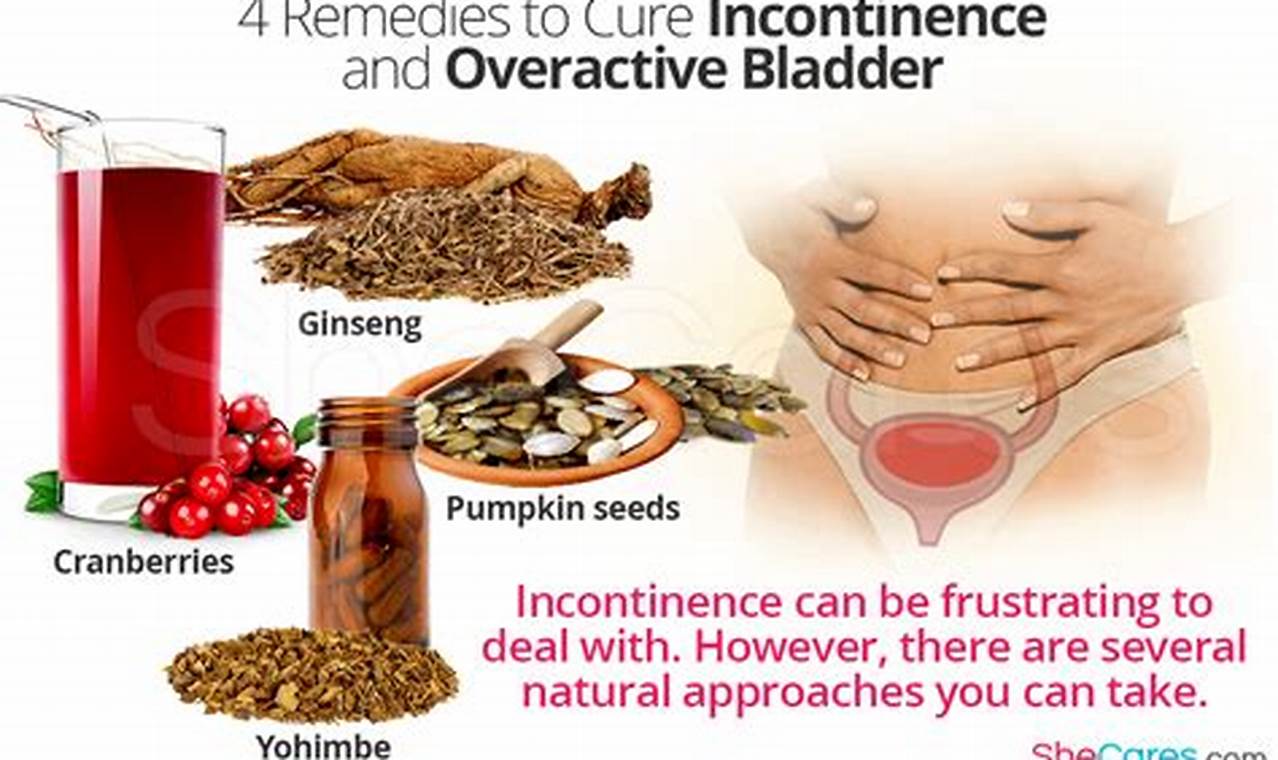 Natural Herbal Incontinence Remedy: Relief + Support The Ultimate Herbal Remedies Guide: Natural Healing for a Healthier Life Natural Herbal Incontinence Remedy: Relief + Support | The Ultimate Herbal Remedies Guide: Natural Healing for a Healthier Life