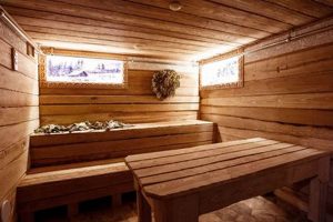 Discover: Herbal Sauna Benefits + At Home Tips | The Ultimate Herbal Remedies Guide: Natural Healing for a Healthier Life
