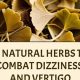 Natural Herbal Remedies for Dizziness: A Quick Guide | The Ultimate Herbal Remedies Guide: Natural Healing for a Healthier Life