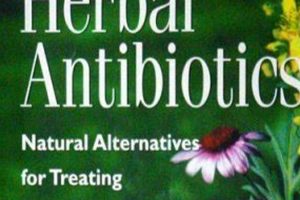 Natural Power: Herbal Antibiotics Buhner's Guide Today! The Ultimate Herbal Remedies Guide: Natural Healing for a Healthier Life Natural Power: Herbal Antibiotics Buhner's Guide Today! | The Ultimate Herbal Remedies Guide: Natural Healing for a Healthier Life