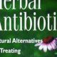 Natural Power: Herbal Antibiotics Buhner's Guide Today! | The Ultimate Herbal Remedies Guide: Natural Healing for a Healthier Life