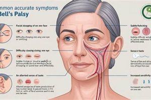 Natural Bells Palsy Herbal Treatment: Relief Guide | The Ultimate Herbal Remedies Guide: Natural Healing for a Healthier Life