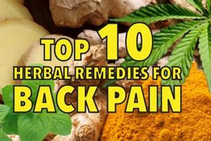 Natural Back Pain Relief Herbal Remedies That Work | The Ultimate Herbal Remedies Guide: Natural Healing for a Healthier Life