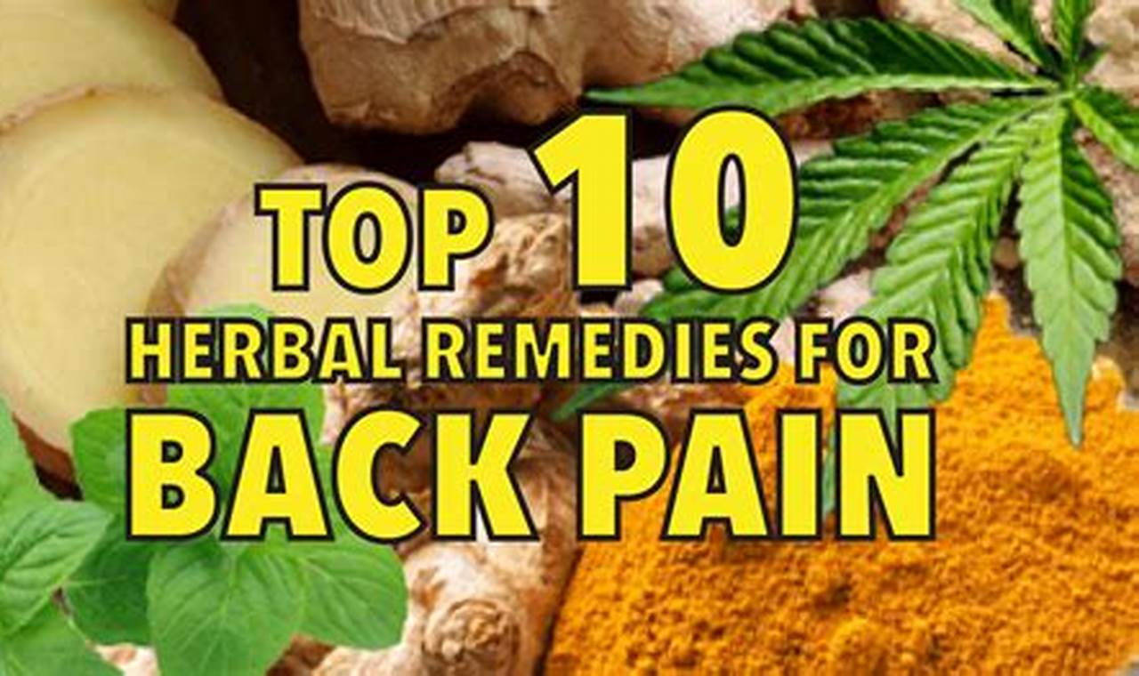 Natural Back Pain Relief Herbal Remedies That Work | The Ultimate Herbal Remedies Guide: Natural Healing for a Healthier Life
