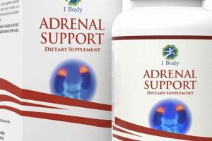 Boost Adrenal Health: Herbal Supplements Guide Now! | The Ultimate Herbal Remedies Guide: Natural Healing for a Healthier Life