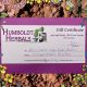 Buy Humboldt Herbals Today! Best Herbal Remedies | The Ultimate Herbal Remedies Guide: Natural Healing for a Healthier Life