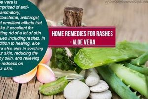 Quick Herbal Remedies for Rashes: Relief Guide | The Ultimate Herbal Remedies Guide: Natural Healing for a Healthier Life