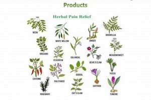 Natural Relief: Herbal Treatment for Pain &amp; Comfort | The Ultimate Herbal Remedies Guide: Natural Healing for a Healthier Life