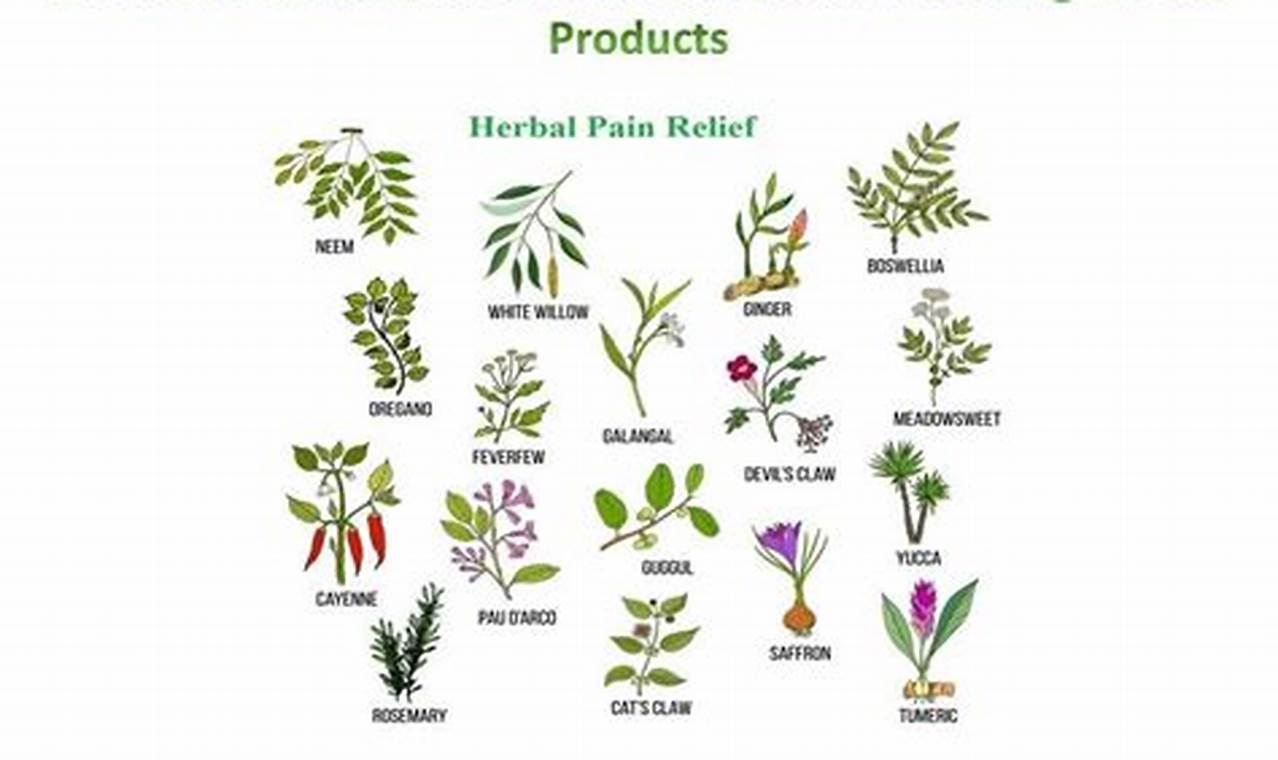 Natural Relief: Herbal Treatment for Pain &amp; Comfort | The Ultimate Herbal Remedies Guide: Natural Healing for a Healthier Life