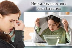 Natural Herbals: Sinus Infection Relief & Remedies | The Ultimate Herbal Remedies Guide: Natural Healing for a Healthier Life
