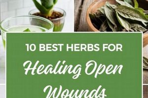 Top Herbal Tea for Healing After Surgery: A Guide The Ultimate Herbal Remedies Guide: Natural Healing for a Healthier Life Top Herbal Tea for Healing After Surgery: A Guide | The Ultimate Herbal Remedies Guide: Natural Healing for a Healthier Life