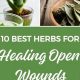 Top Herbal Tea for Healing After Surgery: A Guide | The Ultimate Herbal Remedies Guide: Natural Healing for a Healthier Life