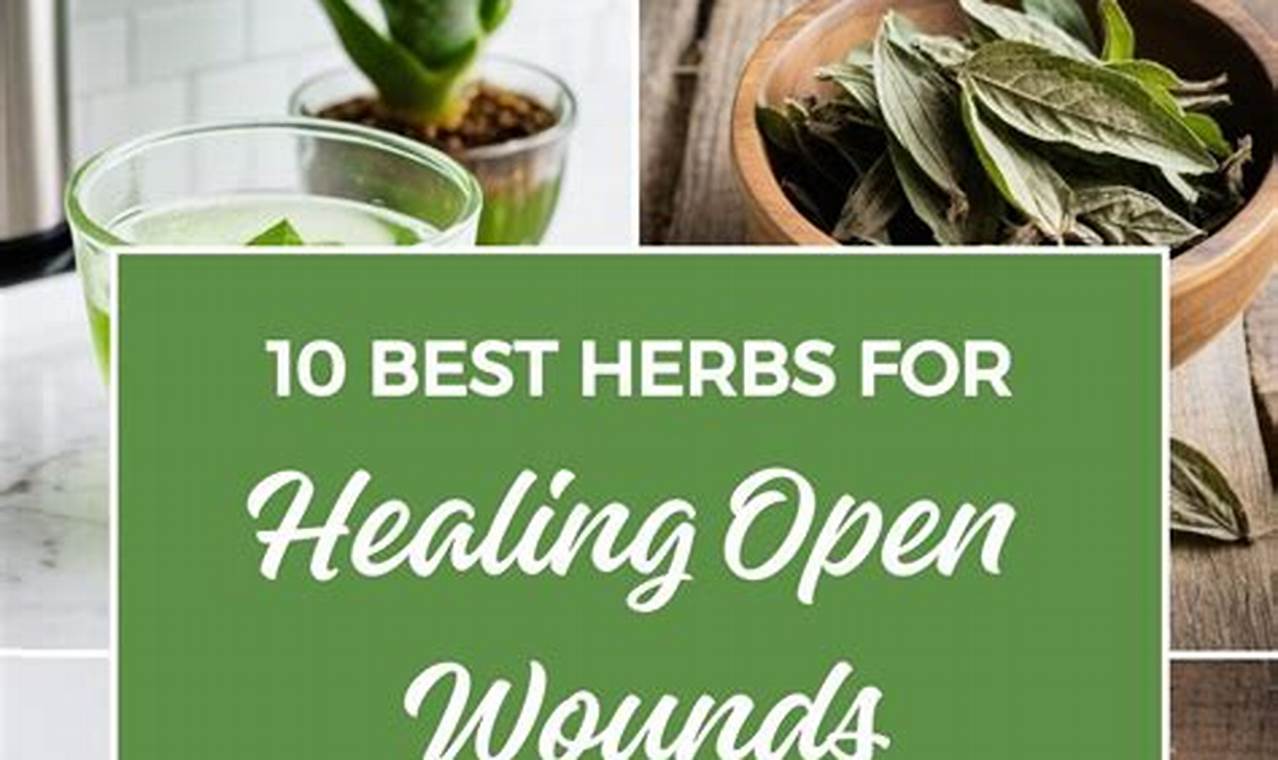 Top Herbal Tea for Healing After Surgery: A Guide The Ultimate Herbal Remedies Guide: Natural Healing for a Healthier Life Top Herbal Tea for Healing After Surgery: A Guide | The Ultimate Herbal Remedies Guide: Natural Healing for a Healthier Life