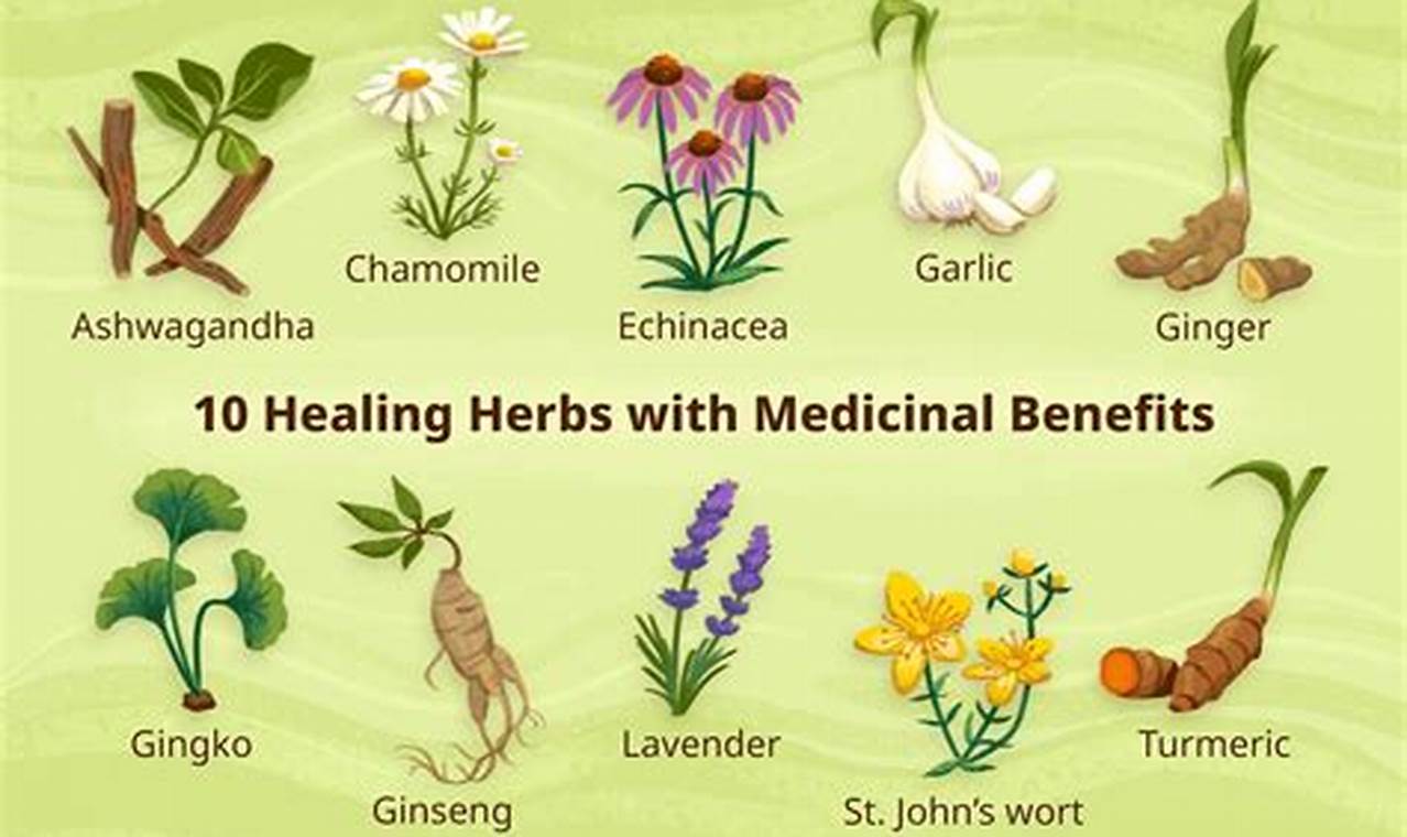 Buy Herbal Remedies Online: Natural Relief & Wellness The Ultimate Herbal Remedies Guide: Natural Healing for a Healthier Life Buy Herbal Remedies Online: Natural Relief & Wellness | The Ultimate Herbal Remedies Guide: Natural Healing for a Healthier Life