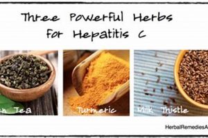 Natural Herbal Remedies for Hep C: Benefits & Risks | The Ultimate Herbal Remedies Guide: Natural Healing for a Healthier Life