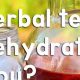 Herbals: Does Herbal Tea Dehydrate You? +Tips | The Ultimate Herbal Remedies Guide: Natural Healing for a Healthier Life