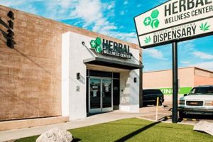 Natural Herbal Wellness in Lafayette, CO: Your Guide | The Ultimate Herbal Remedies Guide: Natural Healing for a Healthier Life