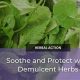 Natural Herbal Demulcents: Soothe & Protect! | The Ultimate Herbal Remedies Guide: Natural Healing for a Healthier Life