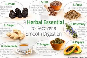 Best Herbal Remedies for Digestion: A Natural Guide | The Ultimate Herbal Remedies Guide: Natural Healing for a Healthier Life