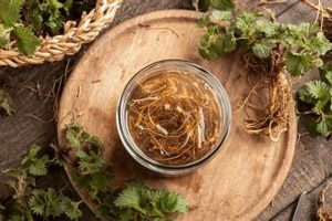 Natural Herbal Anti Androgens: Benefits & Uses | The Ultimate Herbal Remedies Guide: Natural Healing for a Healthier Life