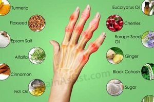 Natural Herbal Treatment for Arthritis Pain Relief | The Ultimate Herbal Remedies Guide: Natural Healing for a Healthier Life