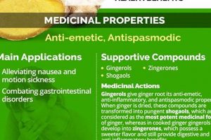 The Amazing Ginger Herbal Uses: Benefits & Beyond | The Ultimate Herbal Remedies Guide: Natural Healing for a Healthier Life