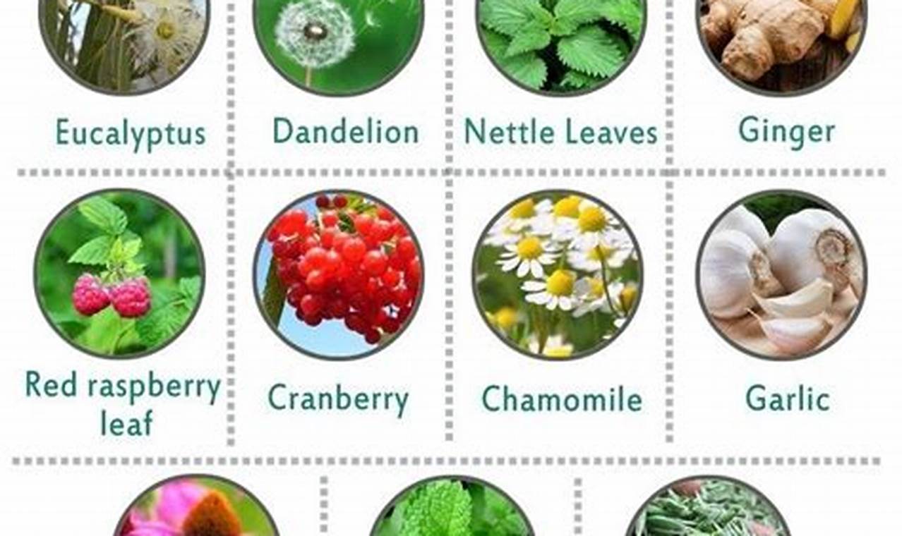 Pregnancy & Herbal Supplements: What's Safe? | The Ultimate Herbal Remedies Guide: Natural Healing for a Healthier Life