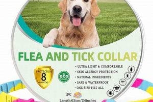 Natural Herbal Flea and Tick Collars for Dogs: Safe Choice? | The Ultimate Herbal Remedies Guide: Natural Healing for a Healthier Life