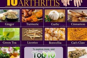 Natural Arthritis Herbal Remedies: Relief & Support | The Ultimate Herbal Remedies Guide: Natural Healing for a Healthier Life