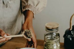 Beginner's Guide: What is Herbalism? + Uses & Benefits | The Ultimate Herbal Remedies Guide: Natural Healing for a Healthier Life