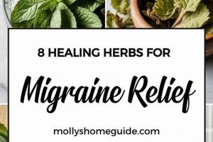 Best Herbal Tea for Migraine Relief: A Natural Remedy | The Ultimate Herbal Remedies Guide: Natural Healing for a Healthier Life