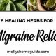 Best Herbal Tea for Migraine Relief: A Natural Remedy | The Ultimate Herbal Remedies Guide: Natural Healing for a Healthier Life