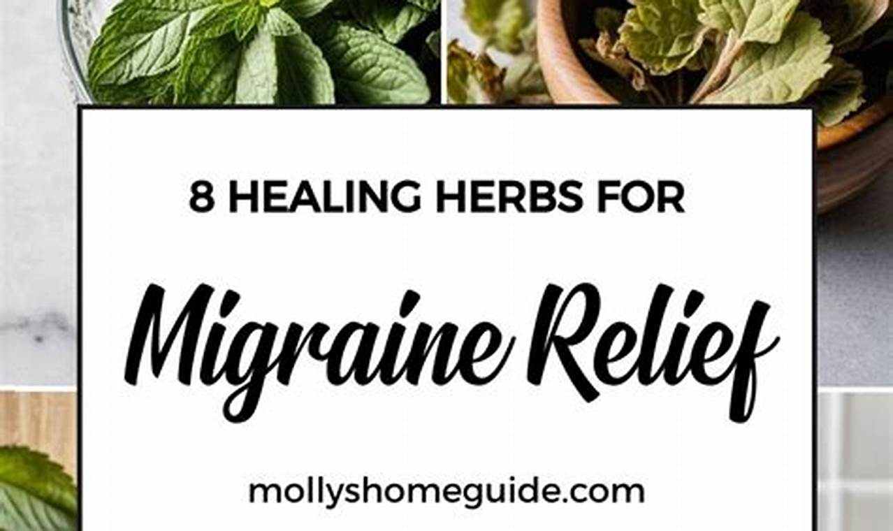 Best Herbal Tea for Migraine Relief: A Natural Remedy | The Ultimate Herbal Remedies Guide: Natural Healing for a Healthier Life