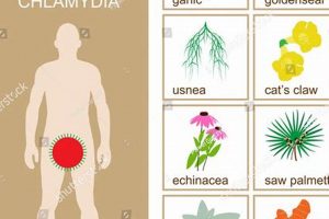 Natural Herbal Remedies for Chlamydia: What Works? | The Ultimate Herbal Remedies Guide: Natural Healing for a Healthier Life