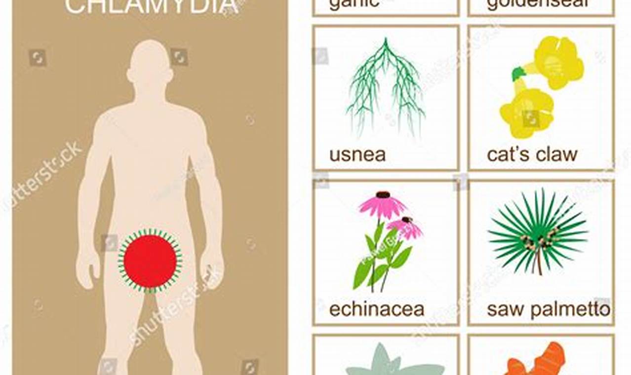 Natural Herbal Remedies for Chlamydia: What Works? | The Ultimate Herbal Remedies Guide: Natural Healing for a Healthier Life