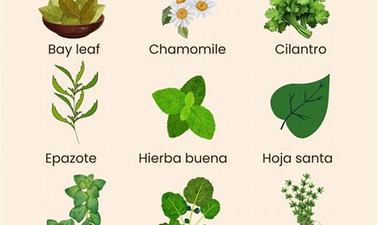Unveiling Herbolaria: Herbal Remedies in Spanish & Beyond! | The Ultimate Herbal Remedies Guide: Natural Healing for a Healthier Life