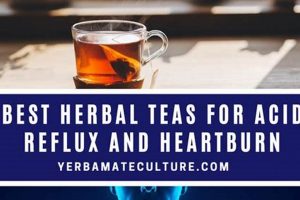 Soothing Relief: Herbal Teas for GERD & Acid Reflux | The Ultimate Herbal Remedies Guide: Natural Healing for a Healthier Life
