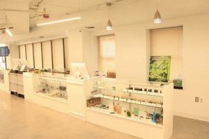 Natural Herbals: DC's Herbal Alternatives Explored | The Ultimate Herbal Remedies Guide: Natural Healing for a Healthier Life