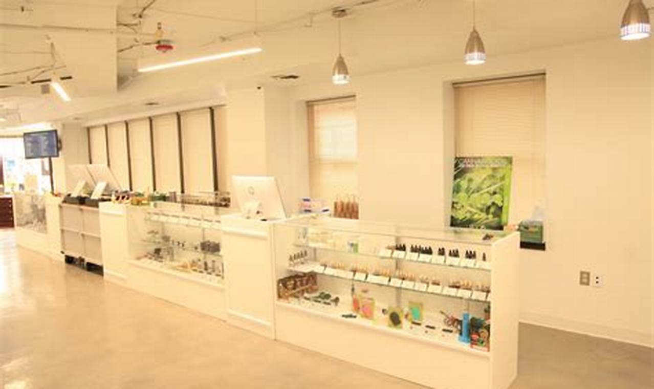 Natural Herbals: DC's Herbal Alternatives Explored | The Ultimate Herbal Remedies Guide: Natural Healing for a Healthier Life